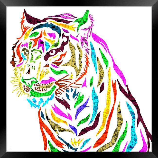 Tiger  Framed Print by JC studios LRPS ARPS
