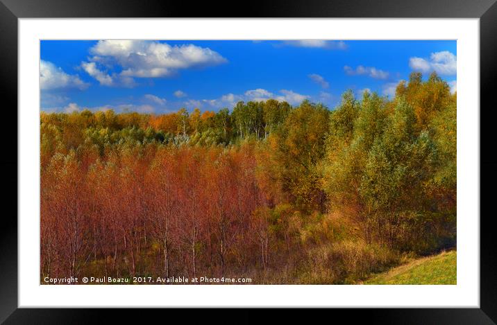 autumn colors of the forest Framed Mounted Print by Paul Boazu