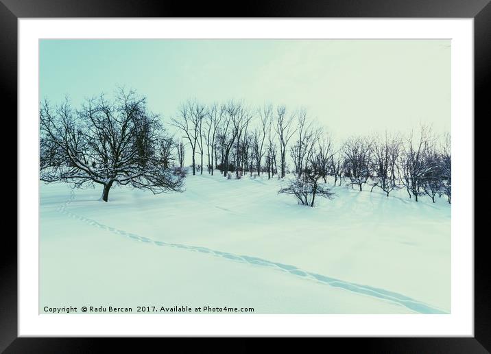 Winter Landscape With Snow And Trees After Blizzar Framed Mounted Print by Radu Bercan
