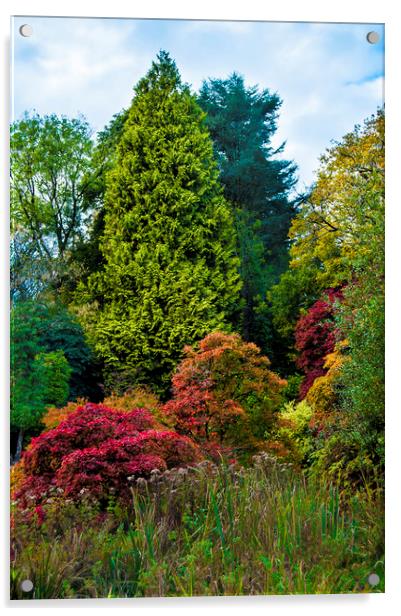 trees in Autumn Acrylic by Owen Bromfield