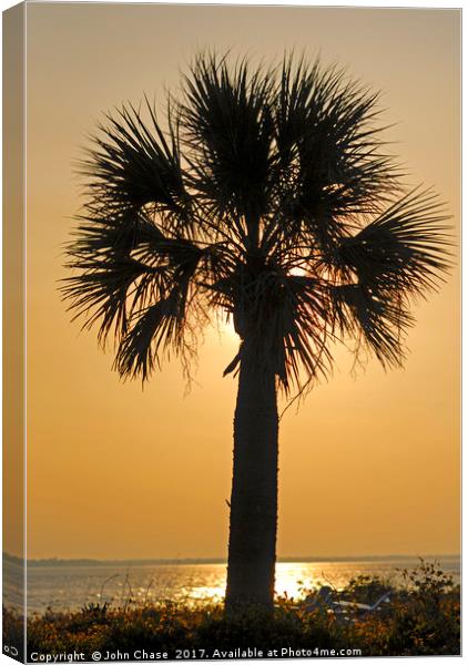 Palm Tree Sunset Canvas Print by John Chase