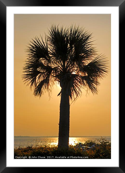 Palm Tree Sunset Framed Mounted Print by John Chase