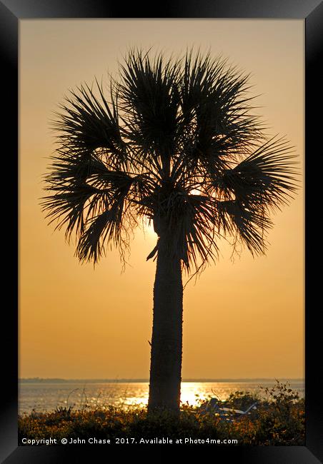 Palm Tree Sunset Framed Print by John Chase