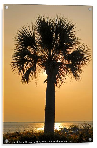 Palm Tree Sunset Acrylic by John Chase