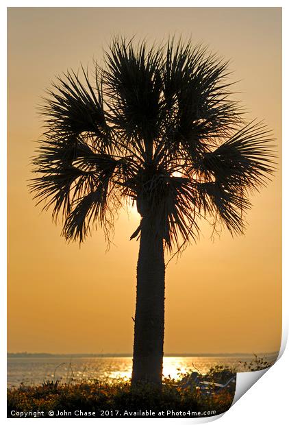 Palm Tree Sunset Print by John Chase