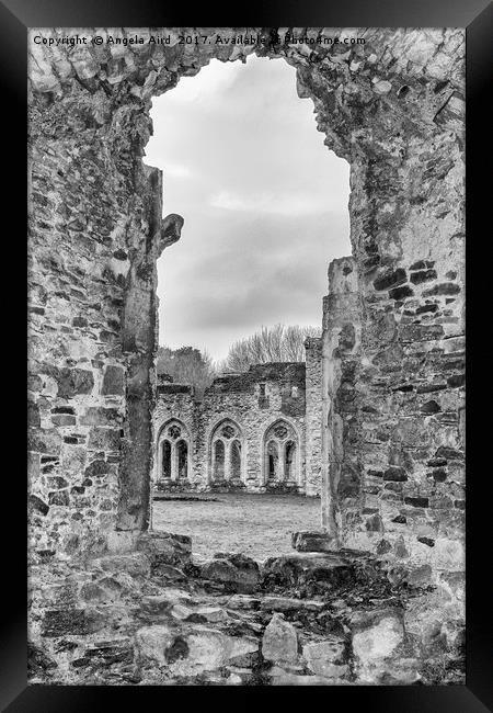 Netley Abbey. Framed Print by Angela Aird