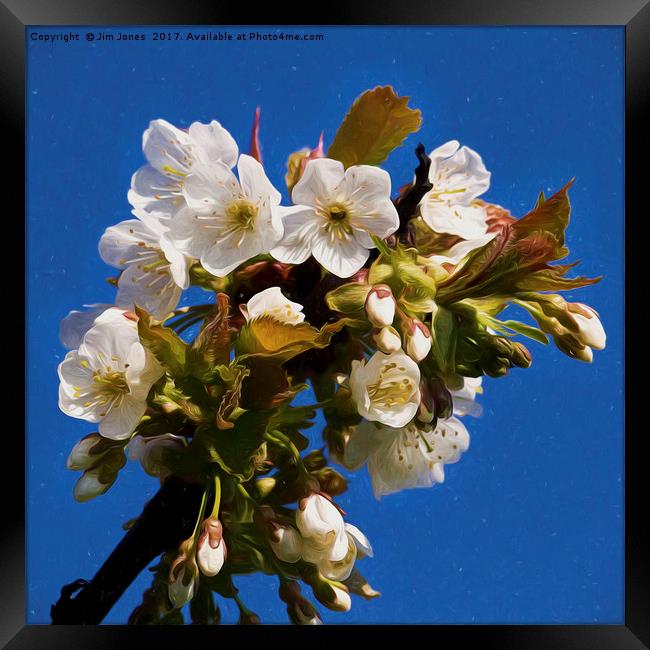 Artistic Hawthorne Blossom Framed Print by Jim Jones