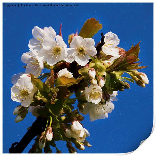 Artistic Hawthorne Blossom Print by Jim Jones