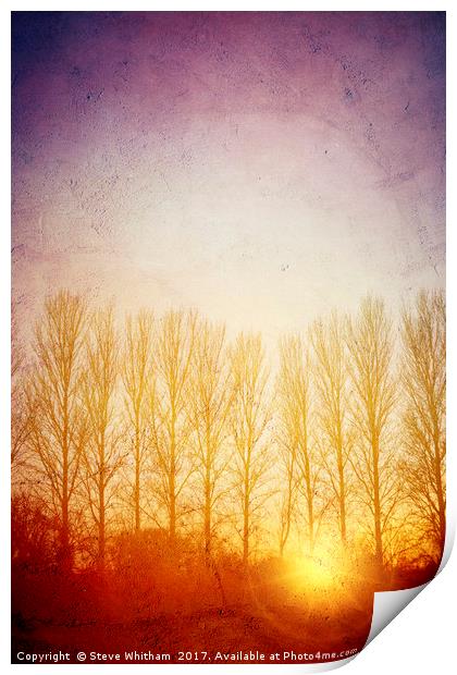 Sunset Grunge. Print by Steve Whitham