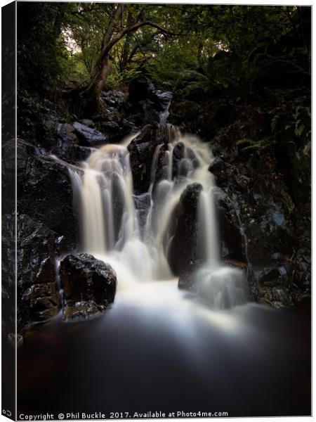 Cat Gill Waterfall Canvas Print by Phil Buckle
