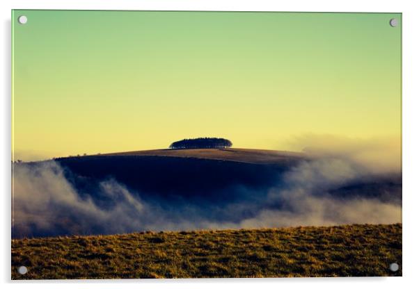 Rolling fog, windgreen near Shaftsbury Dorset/Wilt Acrylic by Lisa Strange