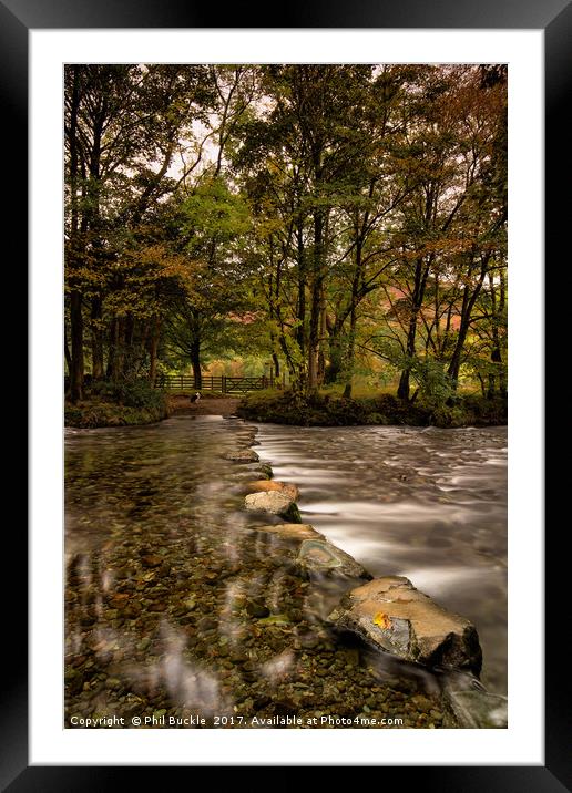 Old Faithful Framed Mounted Print by Phil Buckle