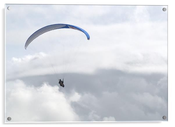 Paraglider at Southbourne Acrylic by Chris Day
