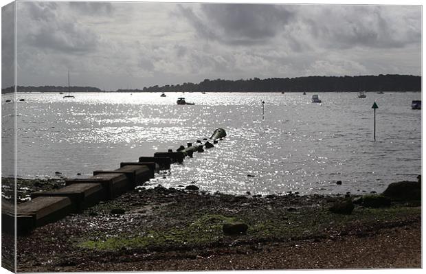 Poole Harbour Canvas Print by Chris Day