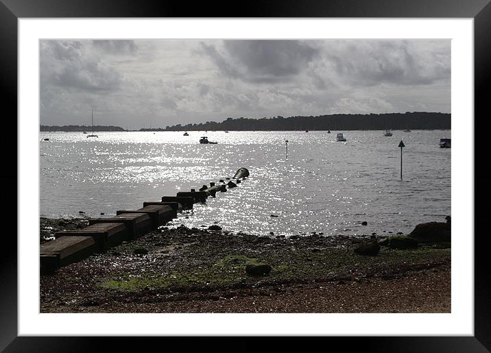 Poole Harbour Framed Mounted Print by Chris Day