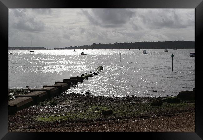 Poole Harbour Framed Print by Chris Day