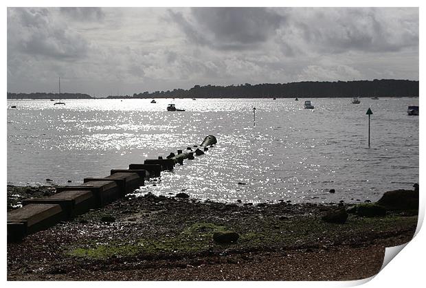 Poole Harbour Print by Chris Day