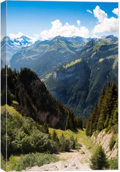 Swiss alps at Interlaken Canvas Print by Owen Bromfield