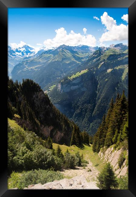Swiss alps at Interlaken Framed Print by Owen Bromfield