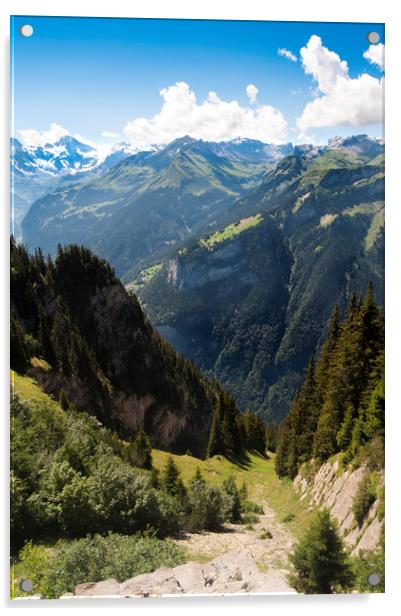 Swiss alps at Interlaken Acrylic by Owen Bromfield