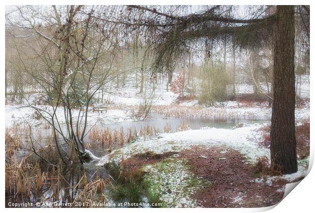 Misty Lake in the Snow Print by Ann Garrett