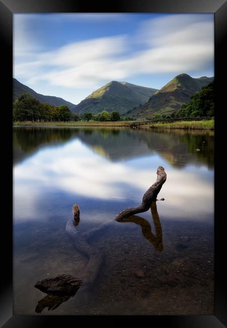 Submerged at Brothers Water Framed Print by Phil Buckle