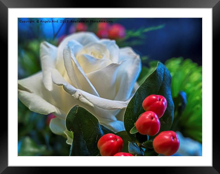 White Rose. Framed Mounted Print by Angela Aird