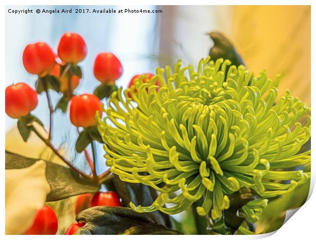 Chrysanthemum. Print by Angela Aird