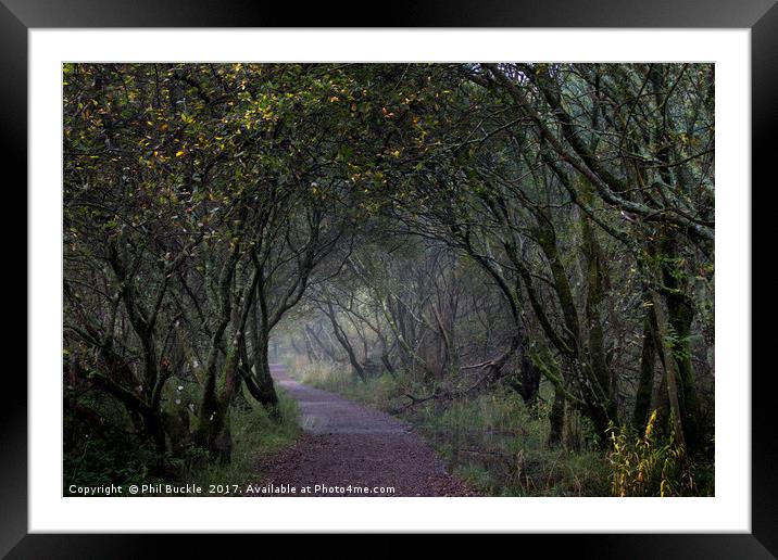 Mystery Tunnel Framed Mounted Print by Phil Buckle