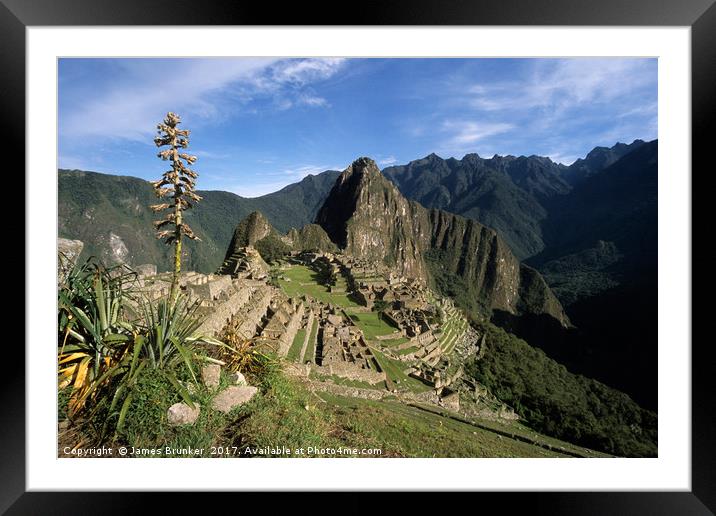 Inca City of Machu Picchu and Bromeliad Plant Peru Framed Mounted Print by James Brunker