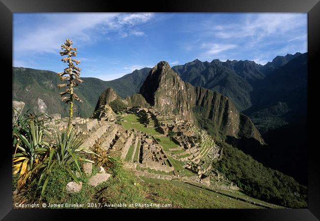 Inca City of Machu Picchu and Bromeliad Plant Peru Framed Print by James Brunker