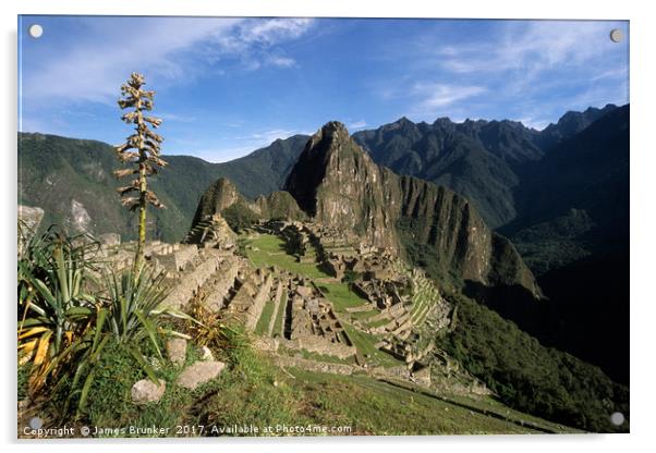 Inca City of Machu Picchu and Bromeliad Plant Peru Acrylic by James Brunker