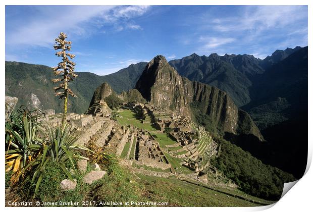 Inca City of Machu Picchu and Bromeliad Plant Peru Print by James Brunker