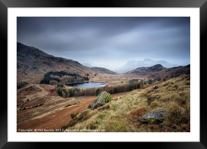 Under Birk Knott Framed Mounted Print by Phil Buckle