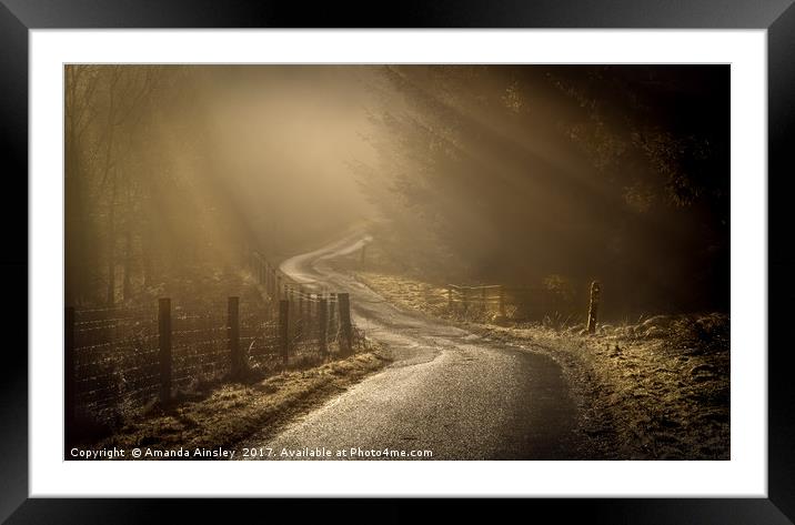Golden Rays Framed Mounted Print by AMANDA AINSLEY