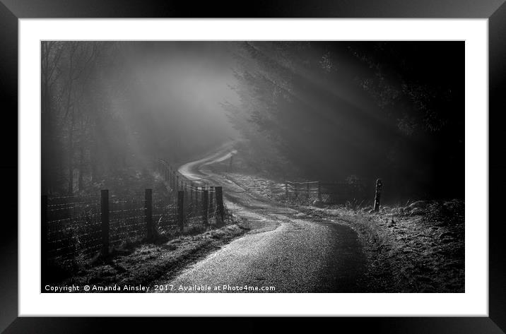 Misty Forest and Moody Sun Rays. Framed Mounted Print by AMANDA AINSLEY