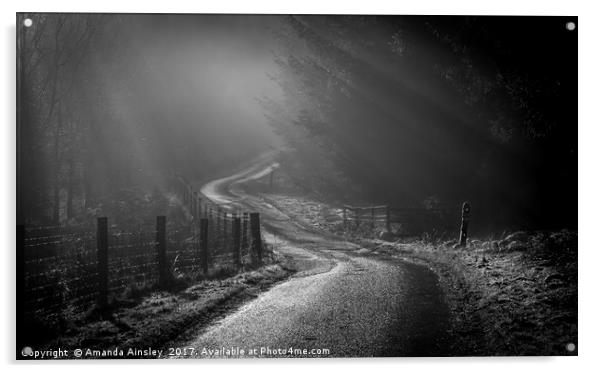 Misty Forest and Moody Sun Rays. Acrylic by AMANDA AINSLEY