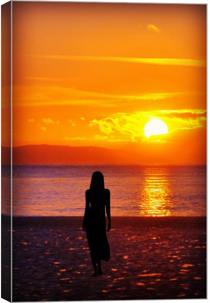 watching the sun set Canvas Print by sue davies
