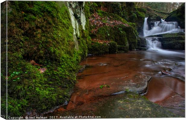Brecon Beacons Waterfall Canvas Print by Neil Holman