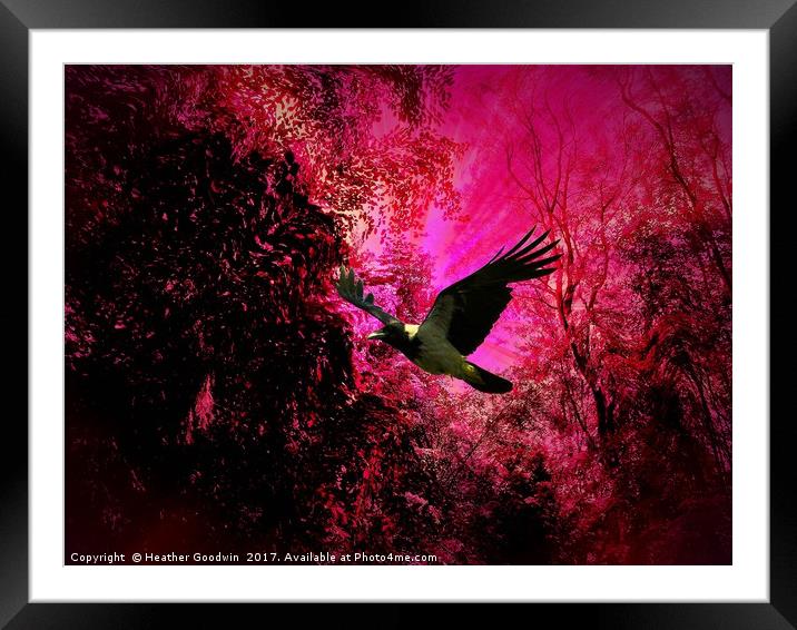 Forest Warp Illusion. Framed Mounted Print by Heather Goodwin