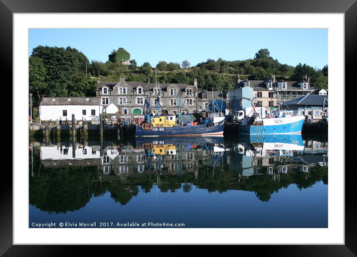 Reflections, Tarbert Harbour, Loch Fyne, Scotland Framed Mounted Print by Elvia Worrall