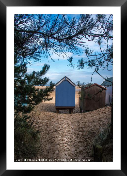 Pathway to the Beach Framed Mounted Print by Ann Mitchell