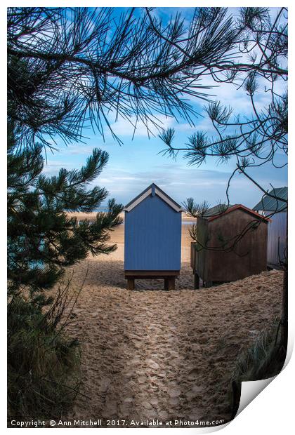 Pathway to the Beach Print by Ann Mitchell