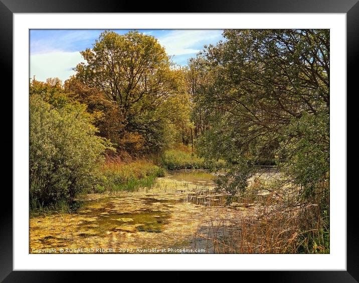 "EVENING SUNSHINE AT WINGATE QUARRY POND" Framed Mounted Print by ROS RIDLEY