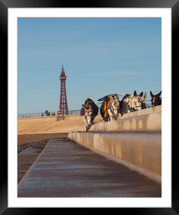Blackpool Donkeys Framed Mounted Print by Victor Burnside