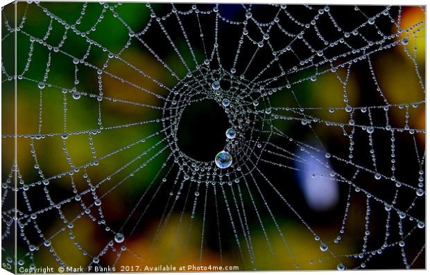 Spider web with Dew Canvas Print by Mark  F Banks
