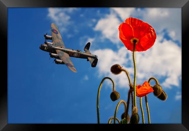 Bomber Command Tribute Framed Print by Stephen Ward