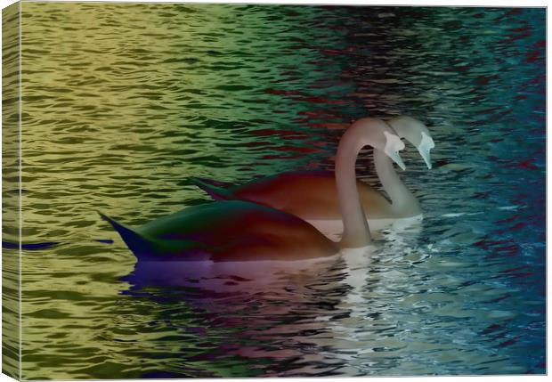Rainbow Swans Canvas Print by Martine Boer - Reid