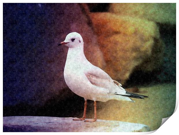Seagull waiting for fish Print by Martine Boer - Reid