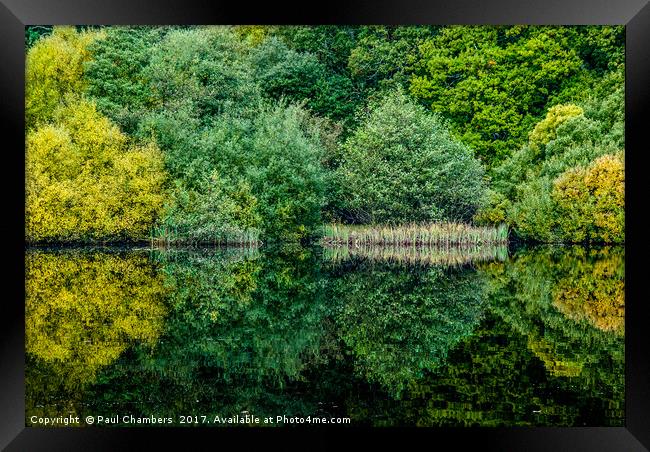 Colourful Reflection Framed Print by Paul Chambers